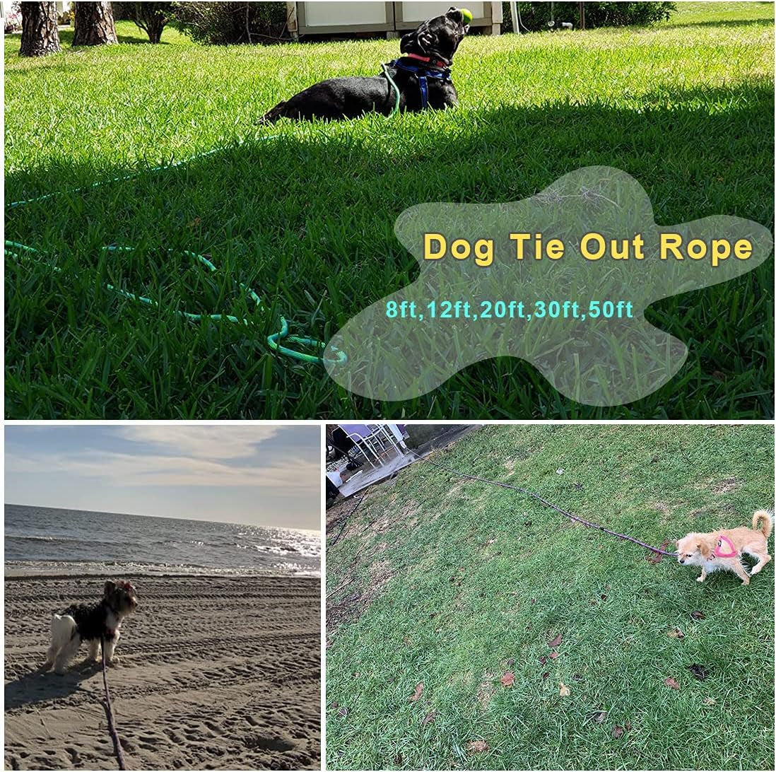 8Ft 12Ft 20Ft 30Ft 50Ft 75Ft Dog Tie Out Long Tether Rope Leash, Outdoor Yard Leash, Large Medium Small Dogs Training, Playing, Camping, Backyard (Green, 50 Foot)