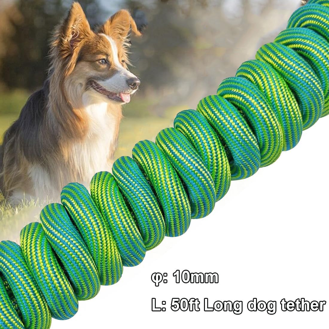 8Ft 12Ft 20Ft 30Ft 50Ft 75Ft Dog Tie Out Long Tether Rope Leash, Outdoor Yard Leash, Large Medium Small Dogs Training, Playing, Camping, Backyard (Green, 50 Foot)