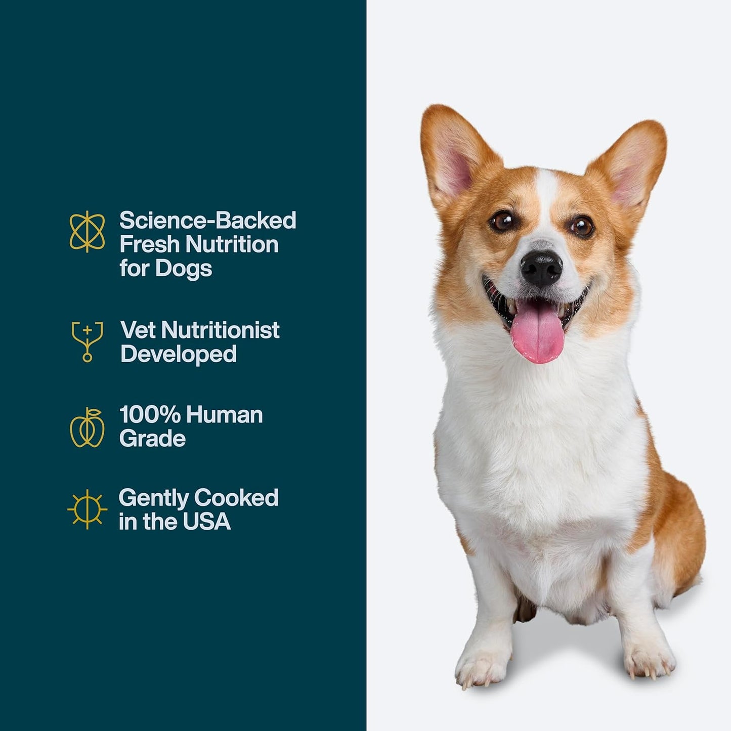 Pantry Fresh Wet Dog Food, Complete Meal or Dog Food Topper, Beef & Russet Potato Human Grade Dog Food Recipe - 12.5 Oz (Pack of 6)