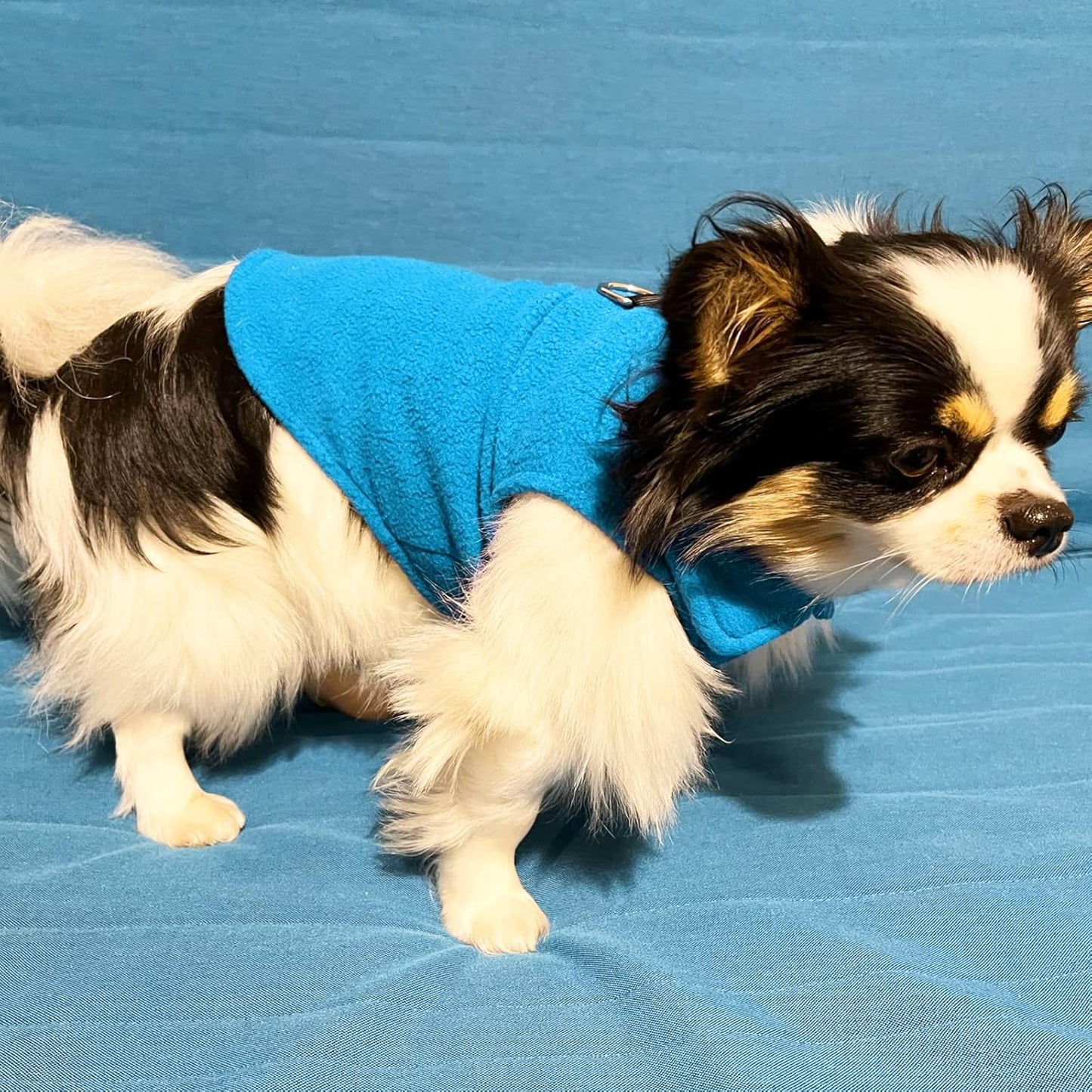 Set of 3 Dog Sweater with Leash Ring Fleece Pet Puppy Vest Winter Fall Clothes for Small Dog Boy Male Chihuahua Yorkies, (X-Small, Blue+Brown+Grey)