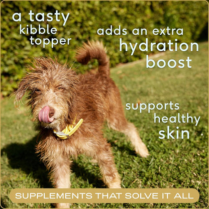 Bone Broth for Dogs and Cats - Chicken Bone Broth Powder Dog Food Toppers for Picky Eaters - Provides Extra Nutrition for Joint Strength, Immune Support & Heart Health - 96 Scoops