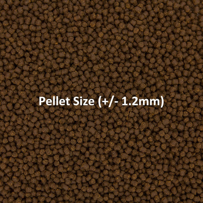 Fish Food Cichlid Pellets, High Protein (41%) Soft Moist Sinking Pellets for Omnivorous Predatory Cichlids - Enhances Color & Growth, 7 Oz (200 G), Small Pellet