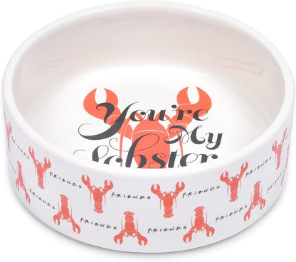 “You’Re My Lobster” Cat Bowl, 5” 12.17Oz Ceramic & Dishwasher-Safe with Lobsters and Friends Logos | Friends Show Pet Products| Cat Bowls for Friends Lovers