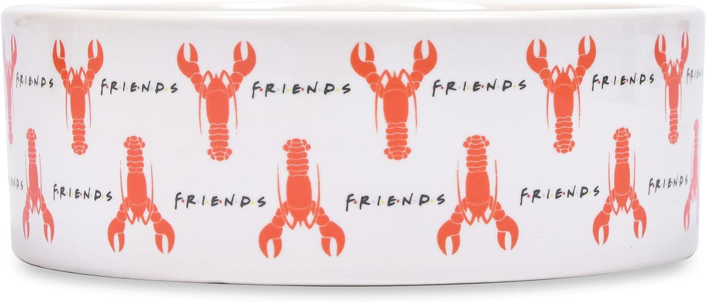 “You’Re My Lobster” Cat Bowl, 5” 12.17Oz Ceramic & Dishwasher-Safe with Lobsters and Friends Logos | Friends Show Pet Products| Cat Bowls for Friends Lovers