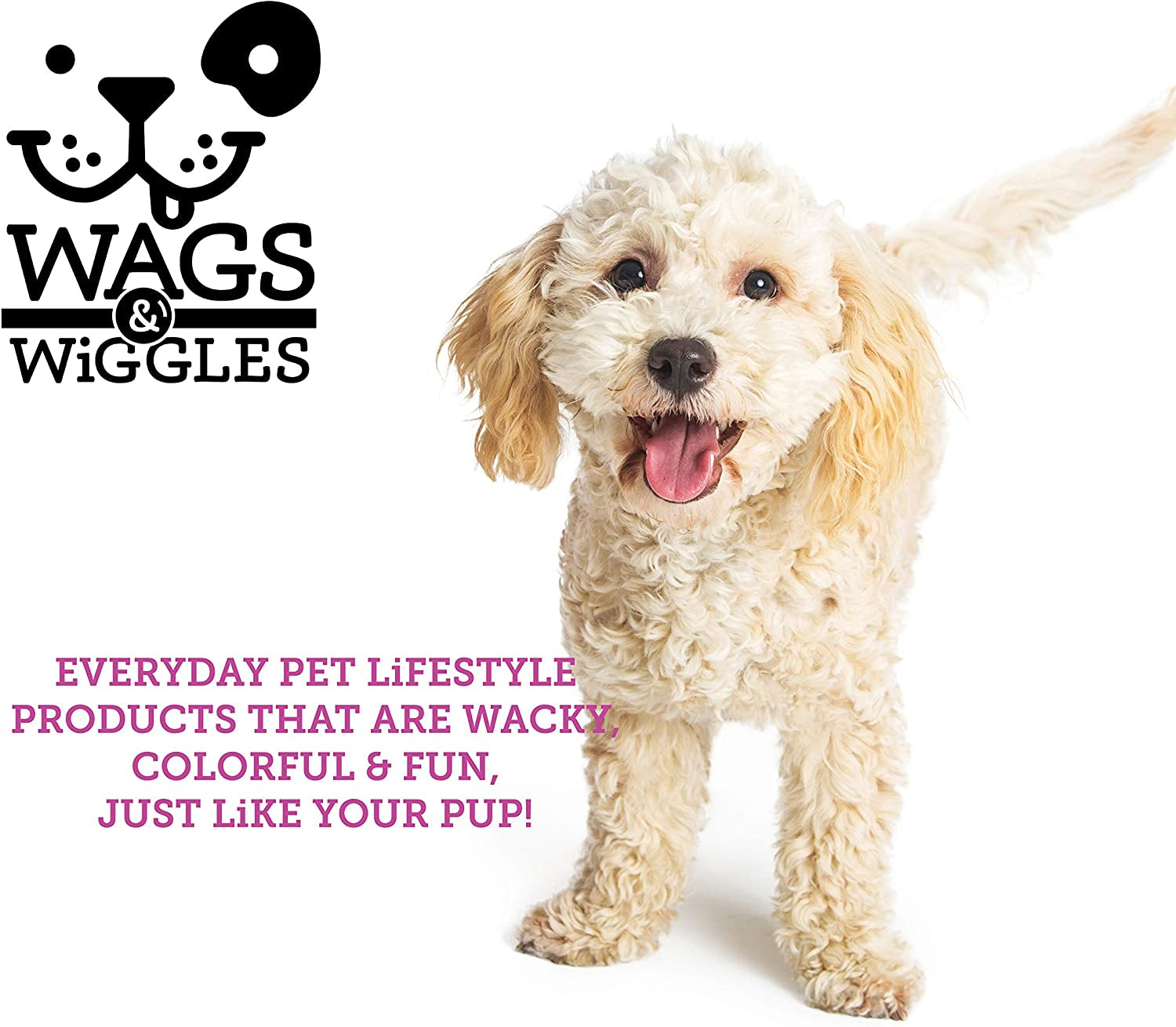 Two-Sided Brush for Small and Long-Haired Dogs | 2-In-1 Bristle and Straight Pin Grooming Supplies for All Dogs
