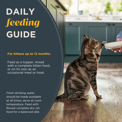 Wet Kitten Food, Tuna Fillet in Broth, 12 Pack of 2.47Oz Cans
