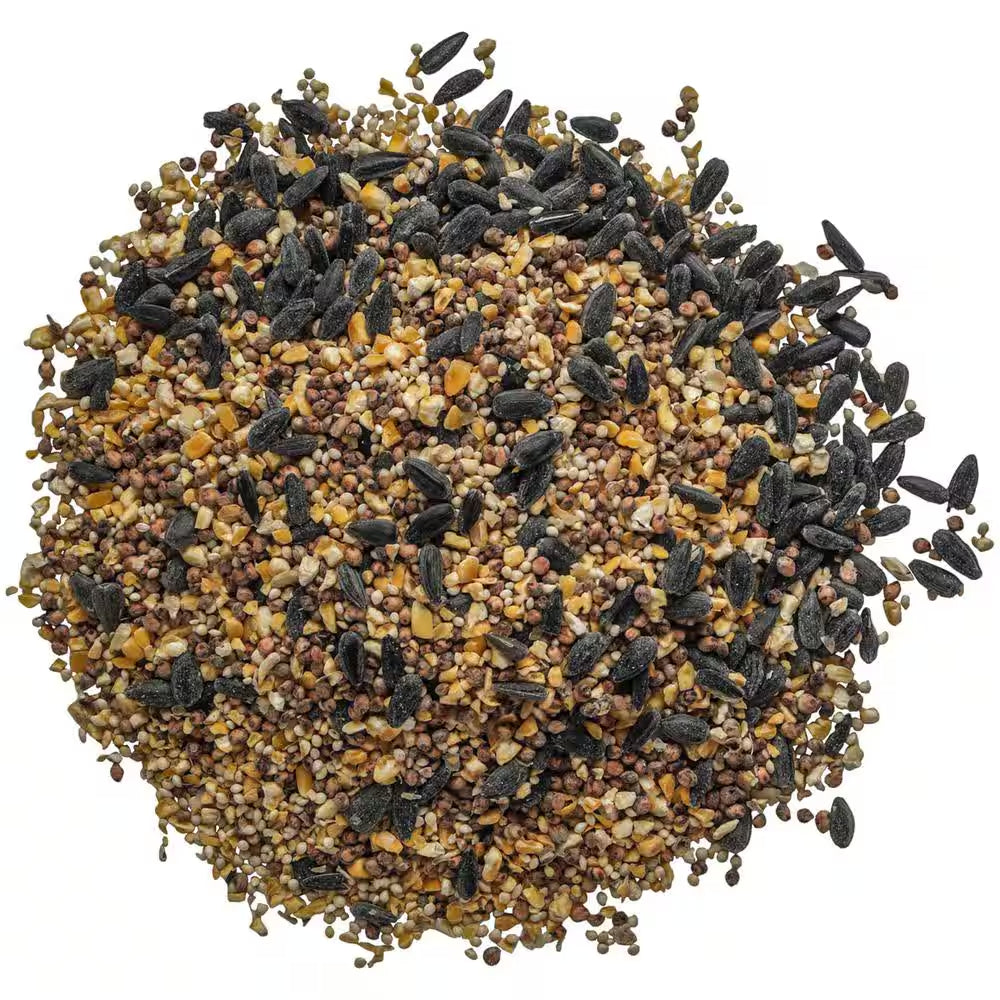 Spicy Signature Wild Bird Food