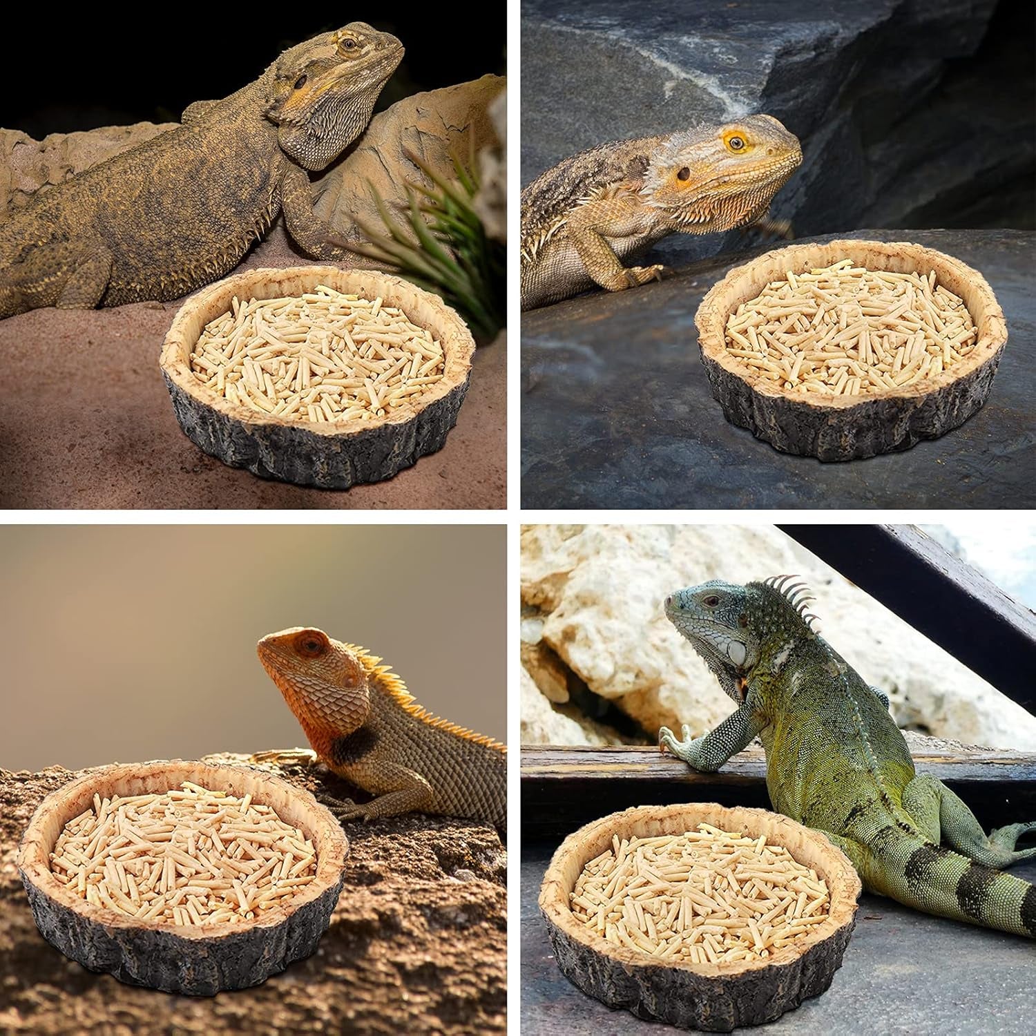 Reptile Food and Water Bowls,Bearded Dragons Accessories