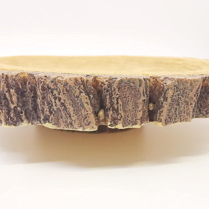 Reptile Food and Water Bowls,Bearded Dragons Accessories